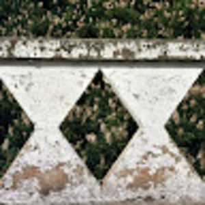 Meet your Posher, Ariel